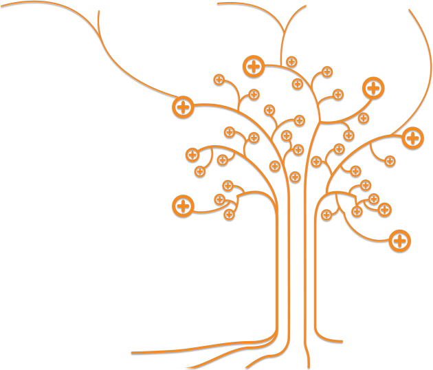 Arbre ADC CONSEIL