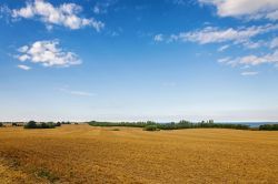 LE MARCHE DES DROITS DE MOUTURE EN 2019